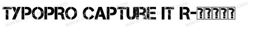 TypoPRO Capture It R字体转换